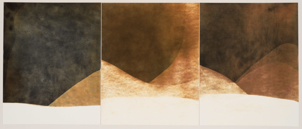 Chuck Kelton - 2014 Untitled B. 10x23.5 in.